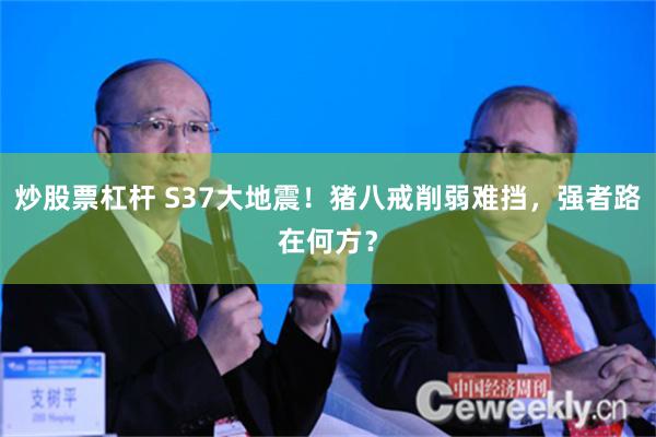 炒股票杠杆 S37大地震！猪八戒削弱难挡，强者路在何方？
