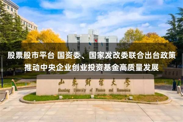 股票股市平台 国资委、国家发改委联合出台政策推动中央企业创业投资基金高质量发展