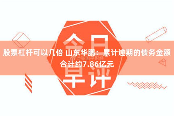 股票杠杆可以几倍 山东华鹏：累计逾期的债务金额合计约7.86亿元