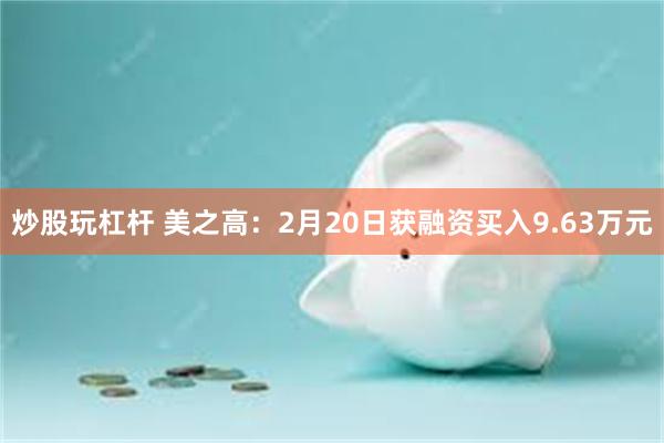 炒股玩杠杆 美之高：2月20日获融资买入9.63万元