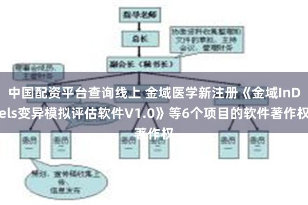 中国配资平台查询线上 金域医学新注册《金域InDels变异模拟评估软件V1.0》等6个项目的软件著作权