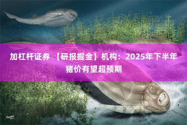 加杠杆证券 【研报掘金】机构：2025年下半年猪价有望超预期