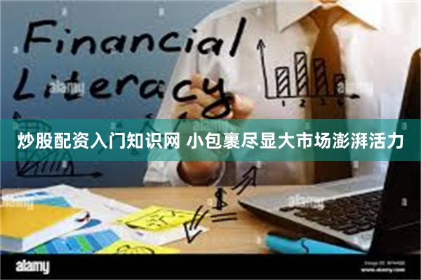炒股配资入门知识网 小包裹尽显大市场澎湃活力