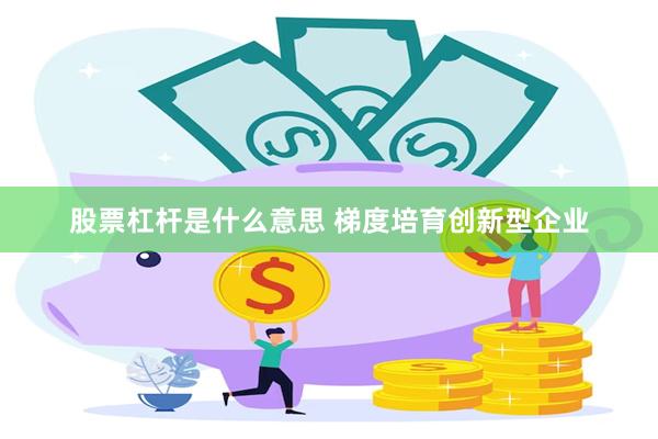 股票杠杆是什么意思 梯度培育创新型企业