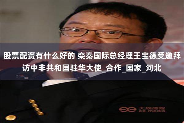 股票配资有什么好的 栾秦国际总经理王宝德受邀拜访中非共和国驻华大使_合作_国家_河北