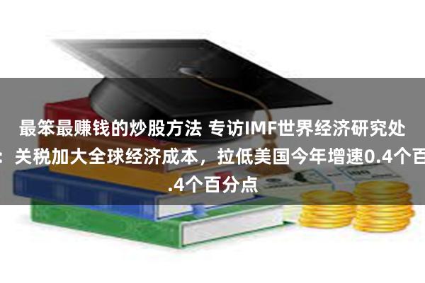 最笨最赚钱的炒股方法 专访IMF世界经济研究处处长：关税加大全球经济成本，拉低美国今年增速0.4个百分点
