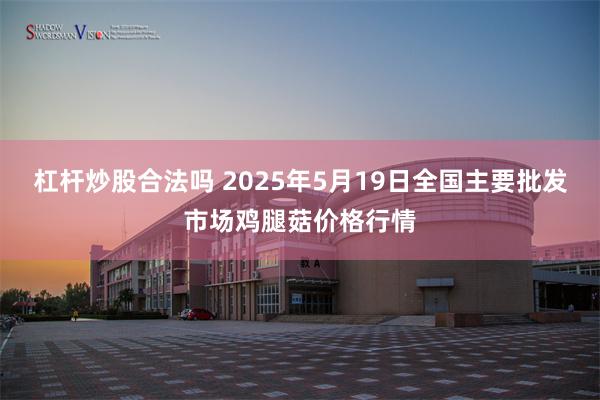 杠杆炒股合法吗 2025年5月19日全国主要批发市场鸡腿菇价格行情