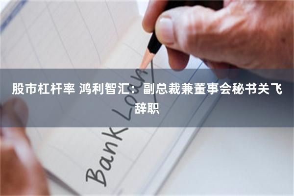 股市杠杆率 鸿利智汇：副总裁兼董事会秘书关飞辞职