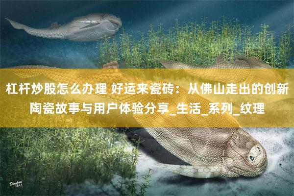 杠杆炒股怎么办理 好运来瓷砖：从佛山走出的创新陶瓷故事与用户体验分享_生活_系列_纹理