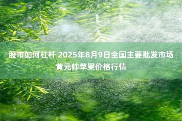 股市如何杠杆 2025年8月9日全国主要批发市场黄元帅苹果价格行情