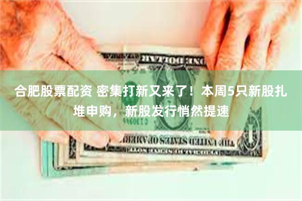 合肥股票配资 密集打新又来了！本周5只新股扎堆申购，新股发行悄然提速